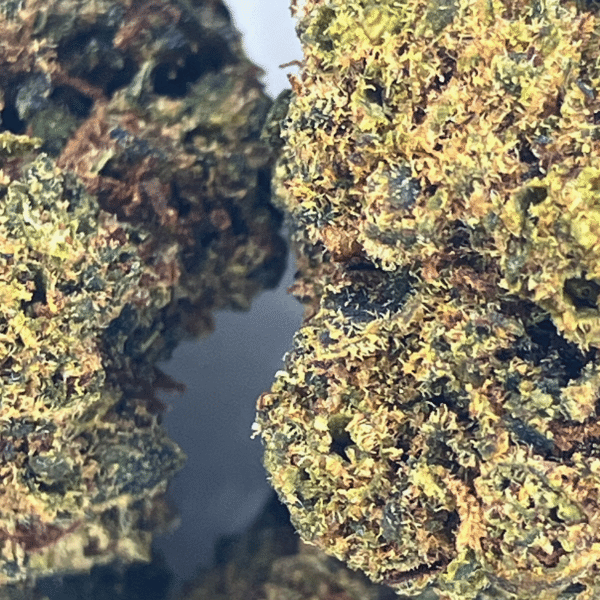 white widow 10-oh-hhc